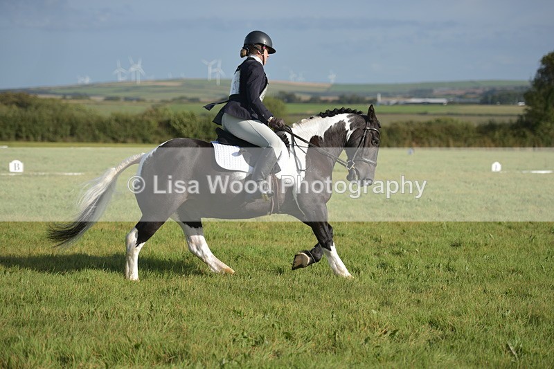 RAY_7332 - Class 2B: Trekenning Open: Dressage