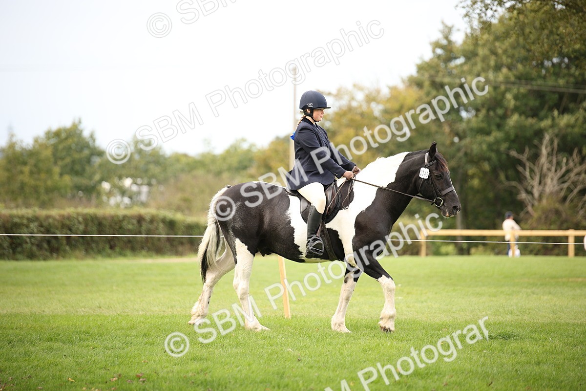 SBM_72344 - S67 - Show Cob Ridden