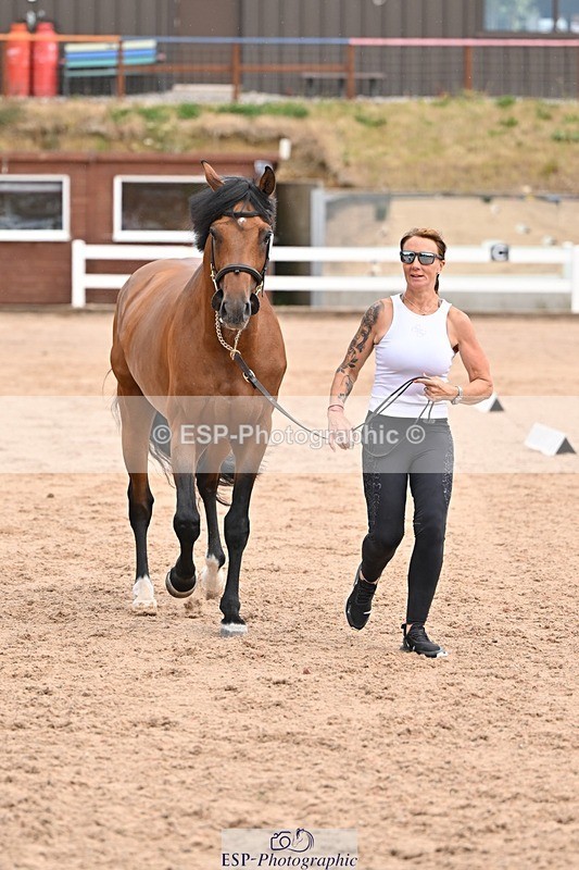 250716-151319-01783 - Trot Up 2.30 to 3.30