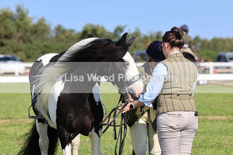 IMG_1598 - Class 30: Ridden Native/Trad Coloured Pony