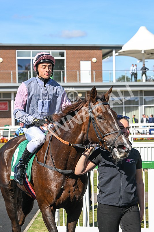 160924-Race 1-Susiesparkle-2569 - Race 1