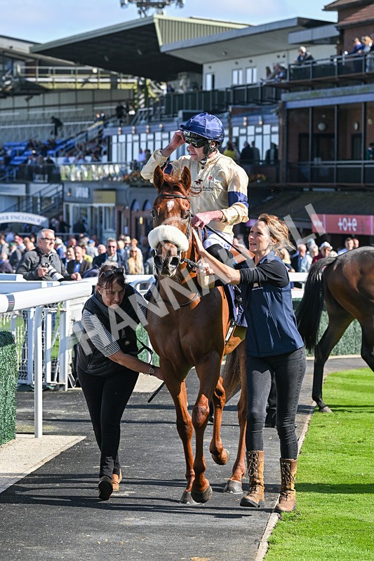 180924-Race 2-American Style-4001 - Race 2