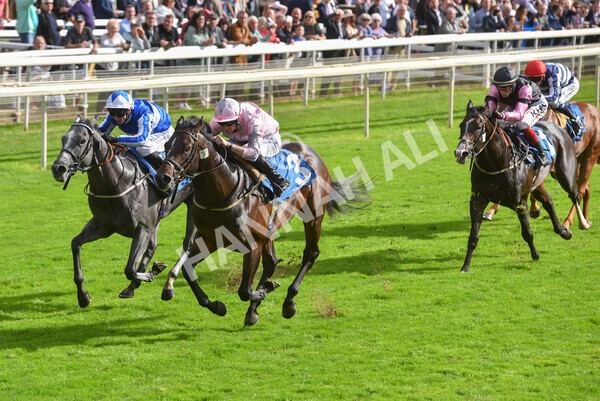 yr24092021r4-26 - Race 4 3.15pm William Hill Play Responsibly British EBF Restricted Novice Stakes