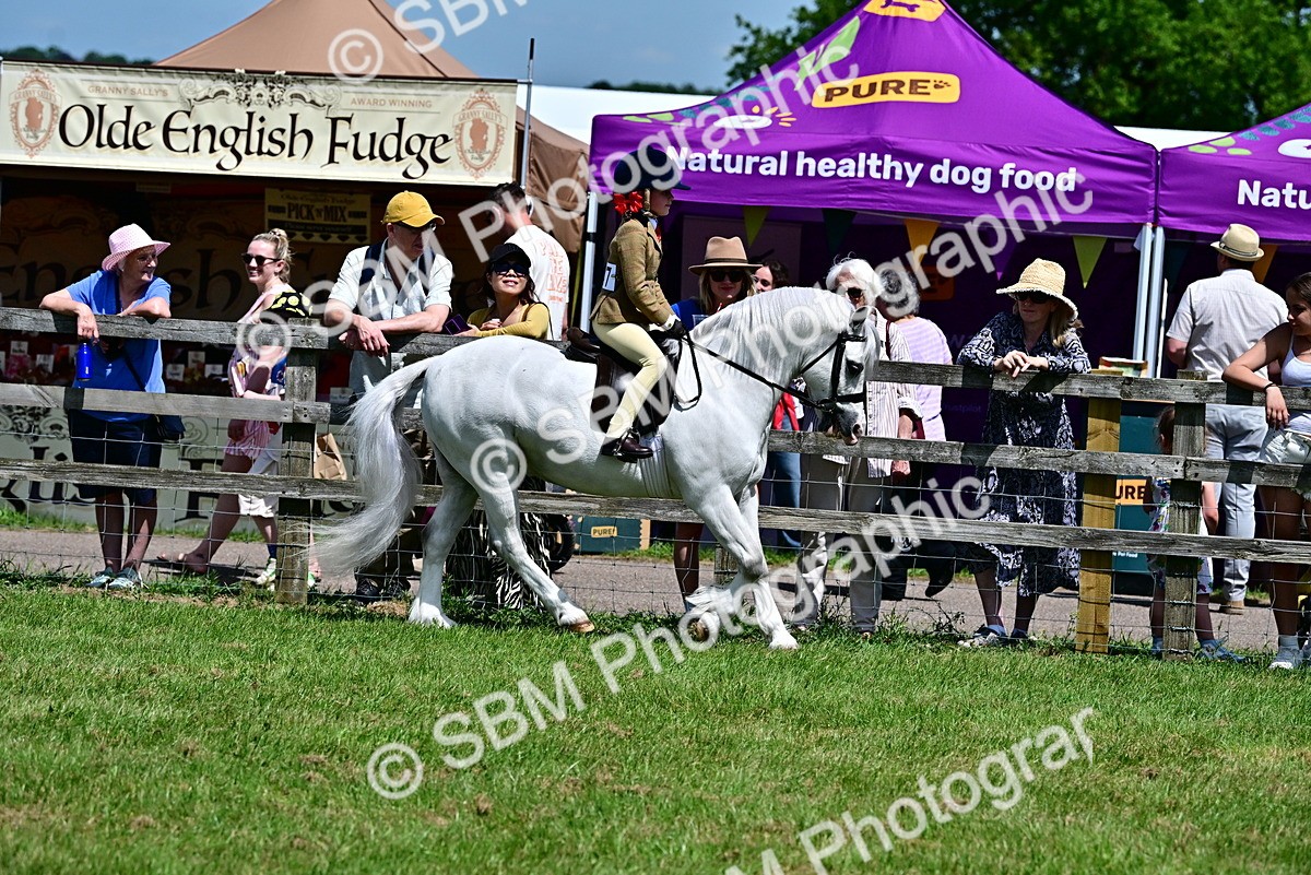 SBM_06090 - Class 59-60 - TSR M&M  Lear Rein and First Ridden Amateur of the year
