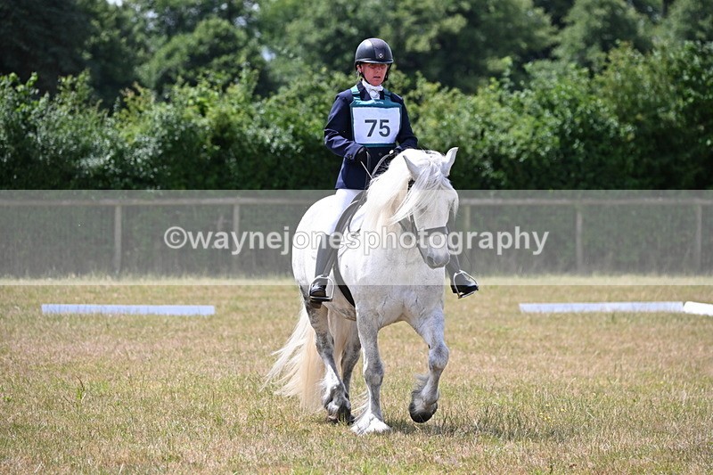 WJ6_3474 - Time 11:34 to 11:43