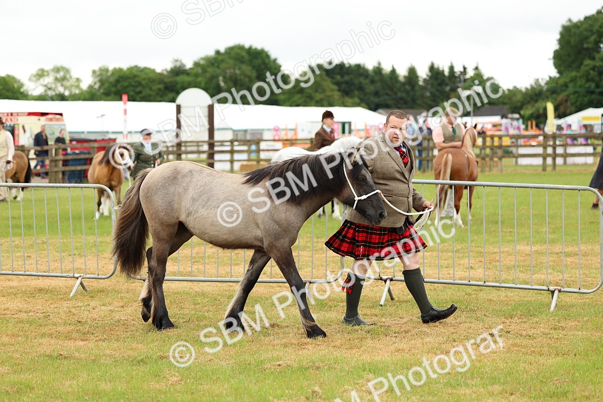 SBM_00378 - Class 58-67 - M&M Non Welsh Pony In hand