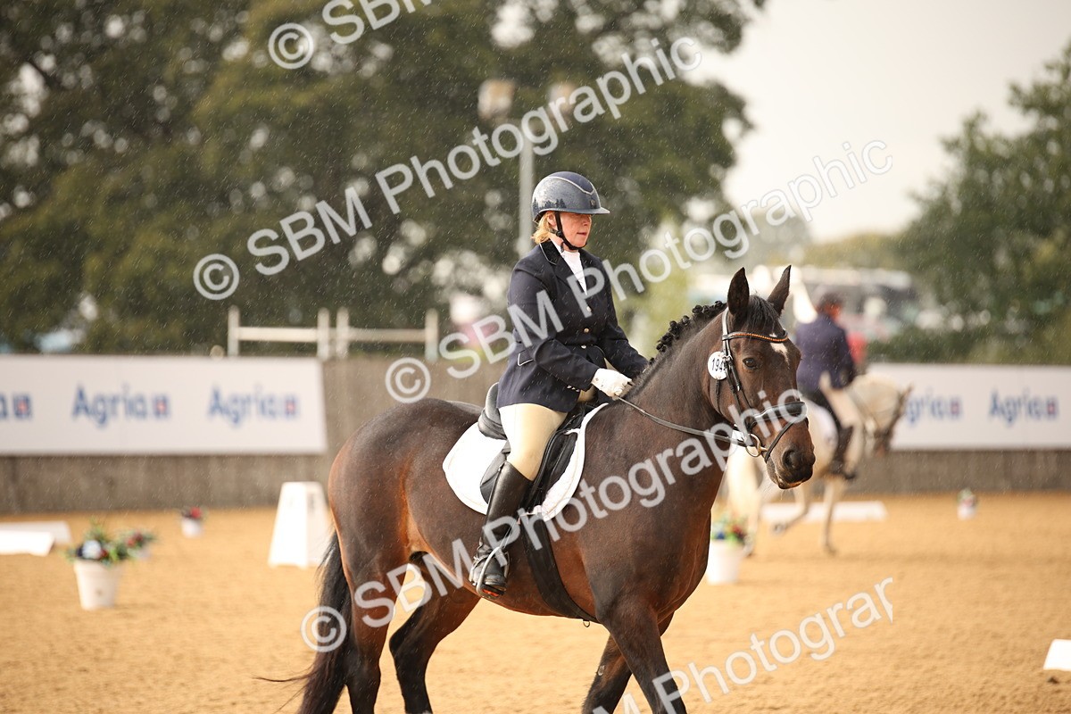SBM_12346 - D3 Small  Tour Championship Intro A