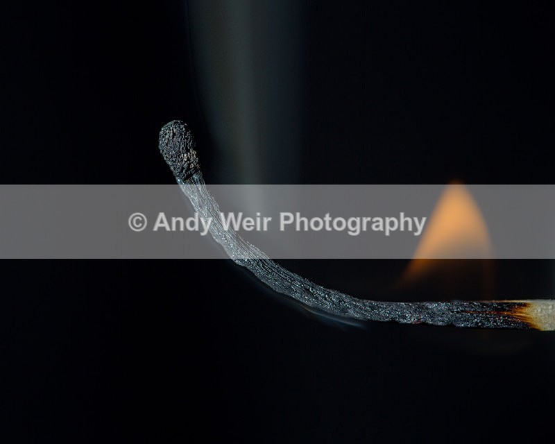 20140115-3K8A8202 - Miscellaneous Photographs