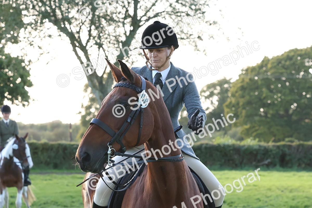 SBM_53087 - S29 - Mature Veteran Ridden