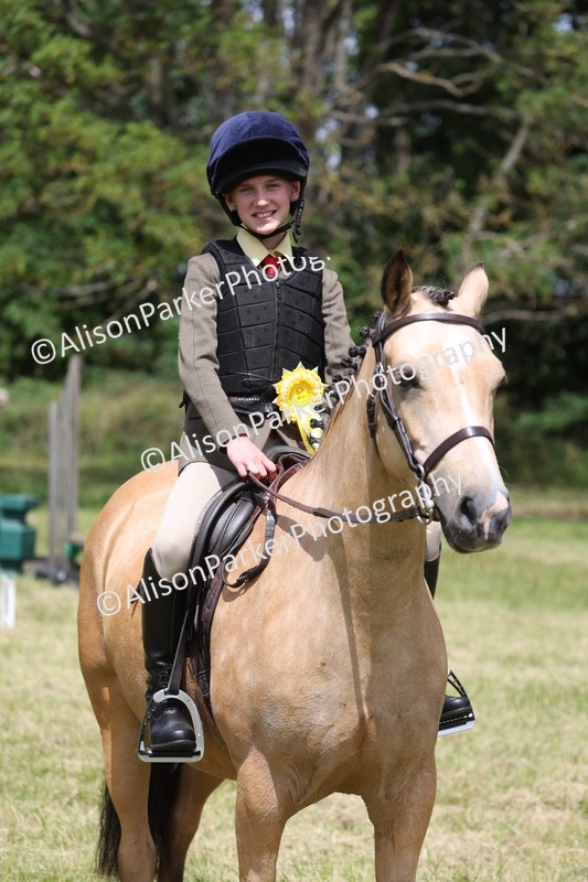 20260614-2150 - Class 21 - Novice Working Hunter Pony