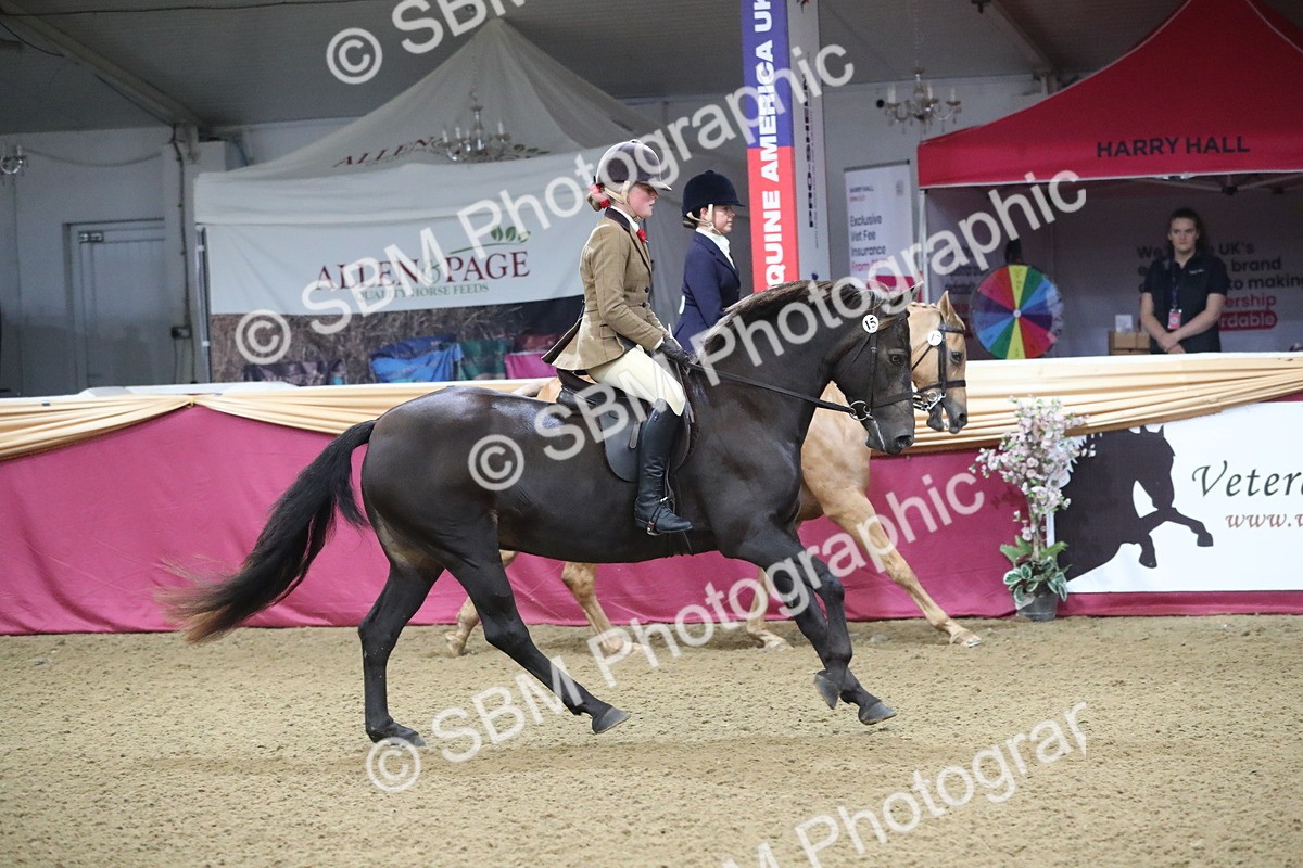 SBM_09277 - Class 101 Equitation (best rider), Junior