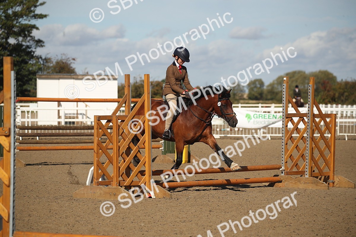 SBM_12727 - Class 504b - Junior Working Veteran - 40cm (20+)