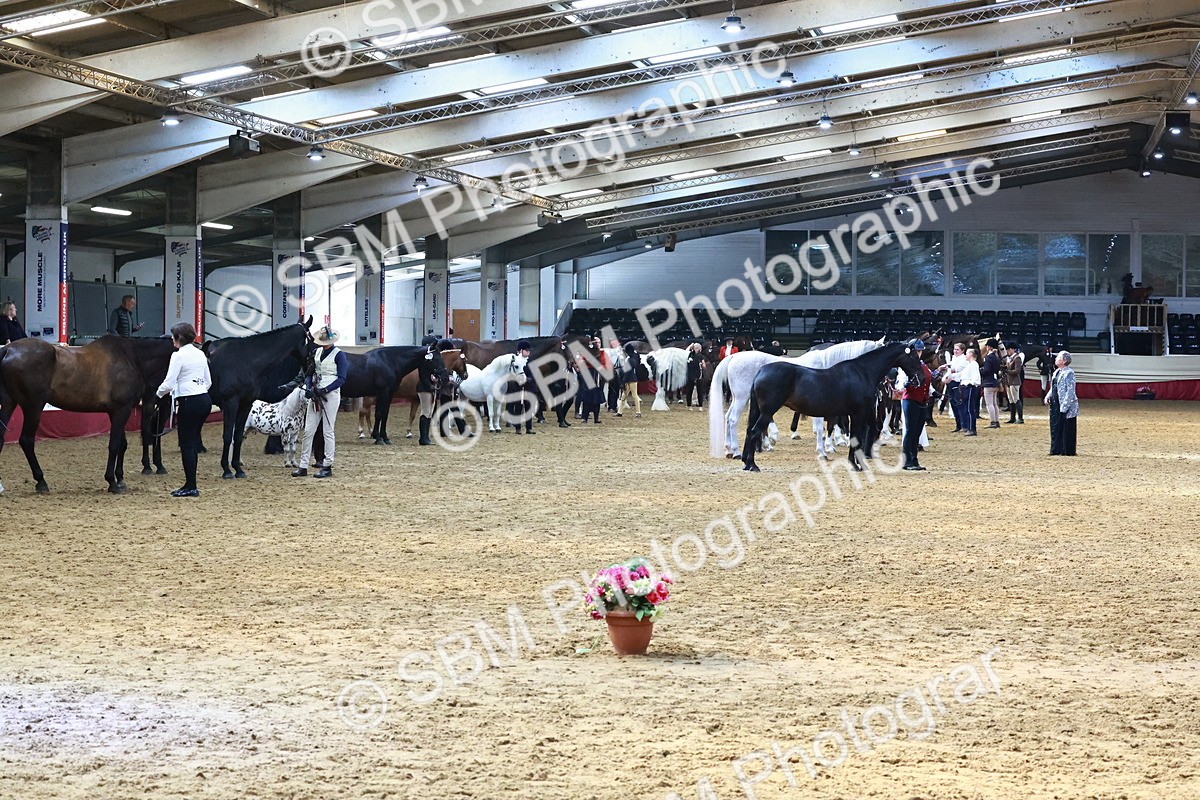 SBM_22405 - Class 902 - Supreme Final - IH Diamond