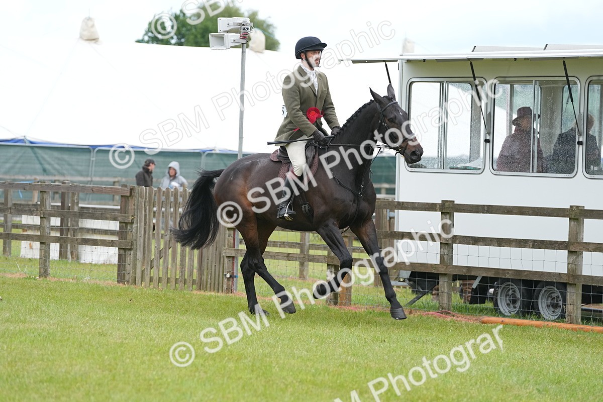 SBM_12838 - Class 97-98 - LIHS BSHA Rising Star Working Show Horse Hunter