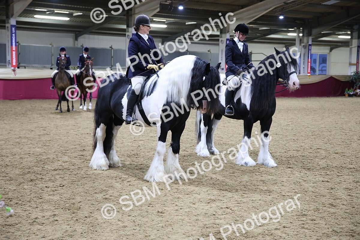 5K7A1528 - Class M Ridden Pairs Champ