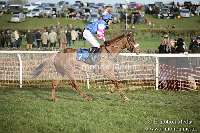 PtP 230319 501 - VWH Hunt Siddington Point-to-Point Racing 23/03/19
