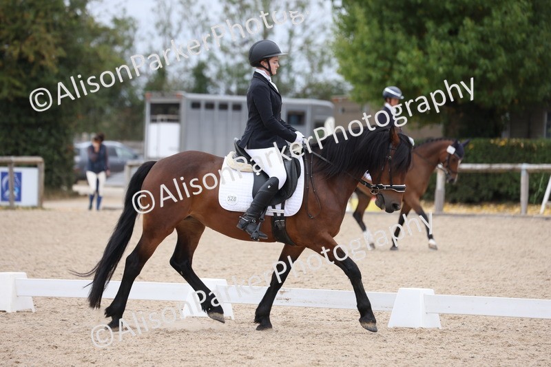 20250820-1228 - Class 18 - Elementary 5