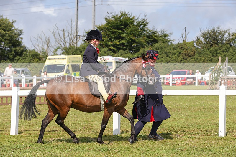 1X9A3609 - Class 29: Lead Rein SP/SHP