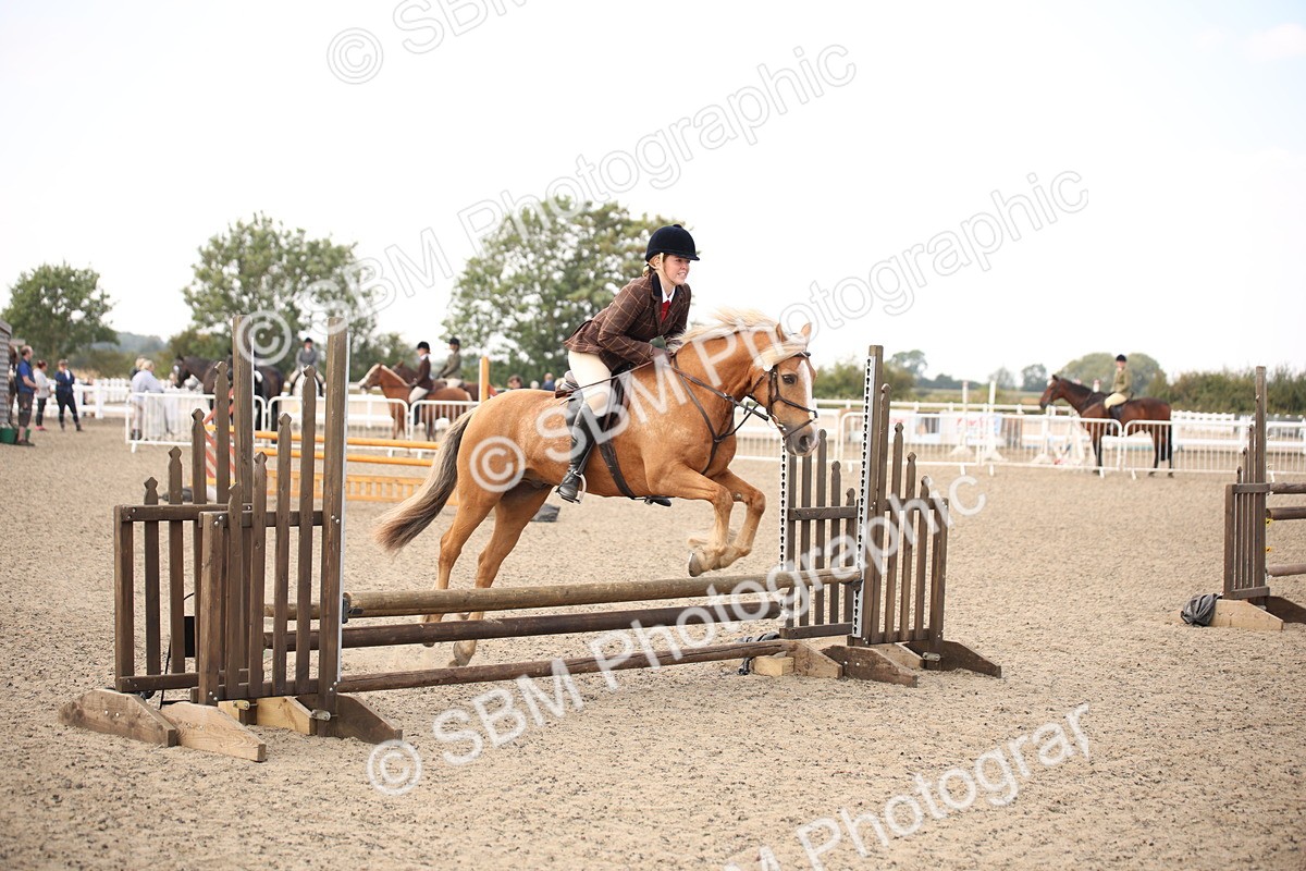 SBM_15993 - Class 408b - Working Veteran 70cm (20+)