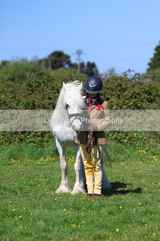 3E7A9846 - Class 17: Young Handler