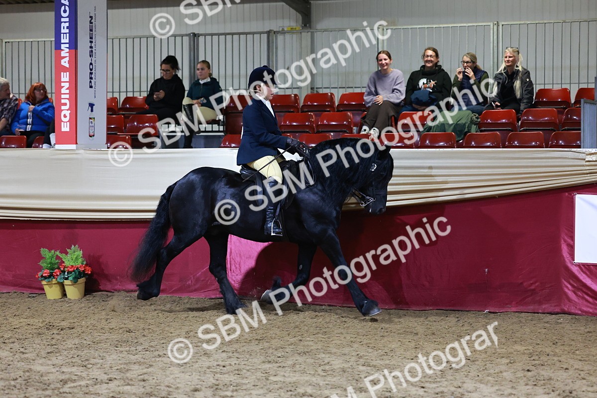 SBM_21343 - Class T - Working Veteran Champs