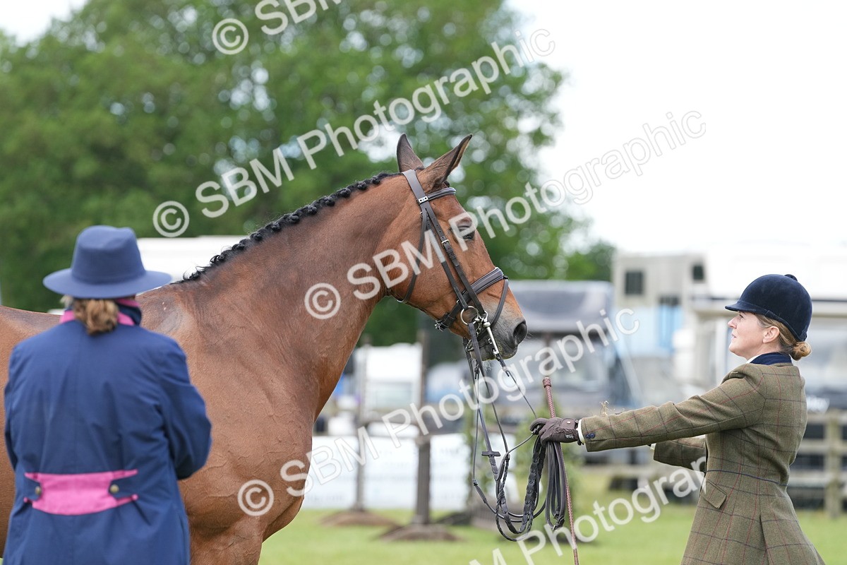SBM_15048 - Class 100-102 - RIHS Working Hunter