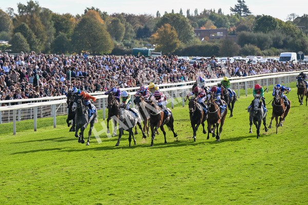 111025-Race 2-Grey Cuban-8279 - Race 2 Coral 'Pipped At The Post' Handicap at York