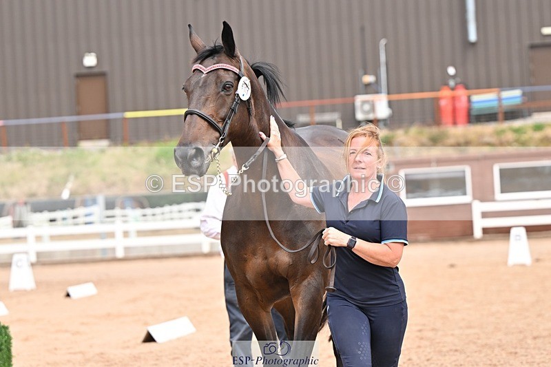 250716-153655-02052 - Trot Up 3.30 to 4.30