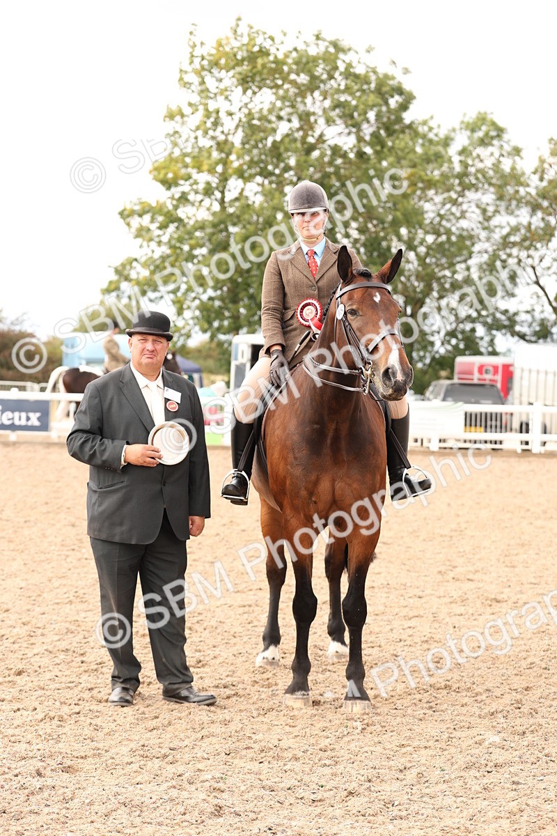 SBM_17276 - Class 213 - Ridden Hunter - Large