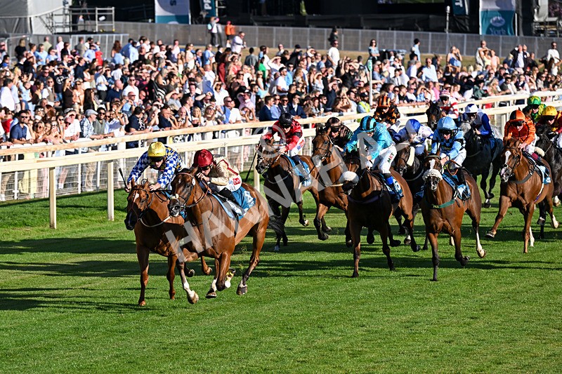 240726-Race 4-Rajaking-0411 - Race 4 19.15pm Tomahawk Handicap
