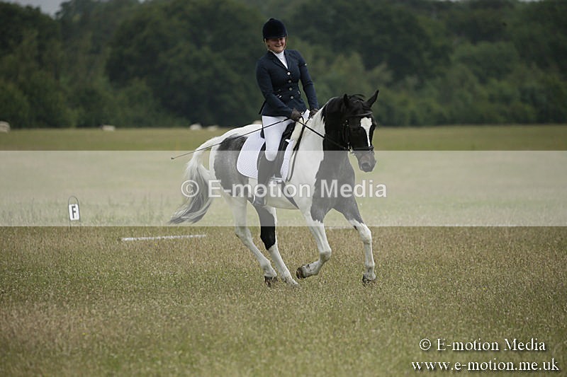 B230619-0383 - Bourne Valley Riding Club Summer Show 23/06/19