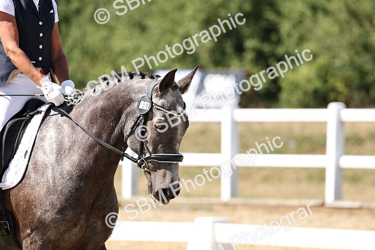 SBM_003296_Prelim 4 - 1341-1604 - Tracey