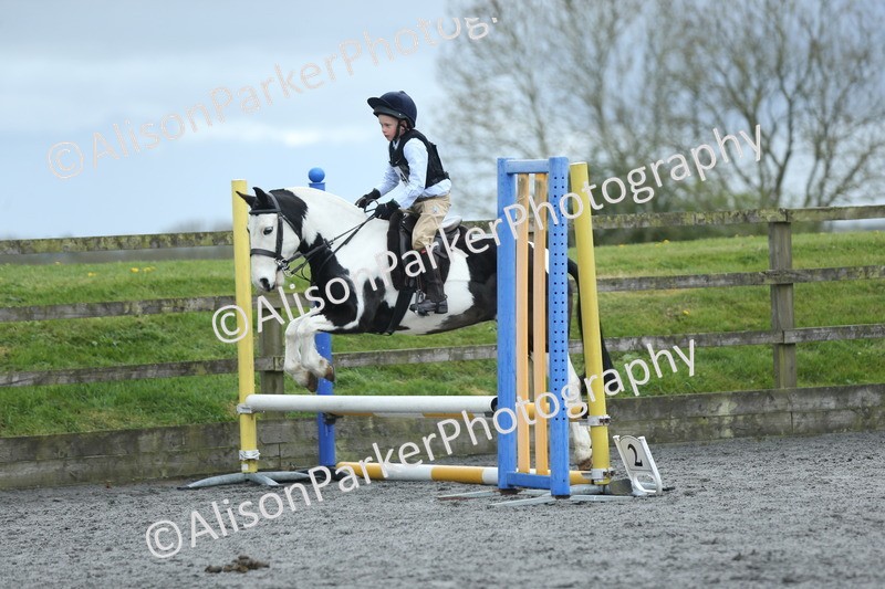 20260412-1832 - Show Jumping