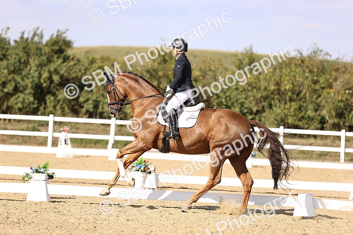 SBM_015250 - Class 8 - Medium 5