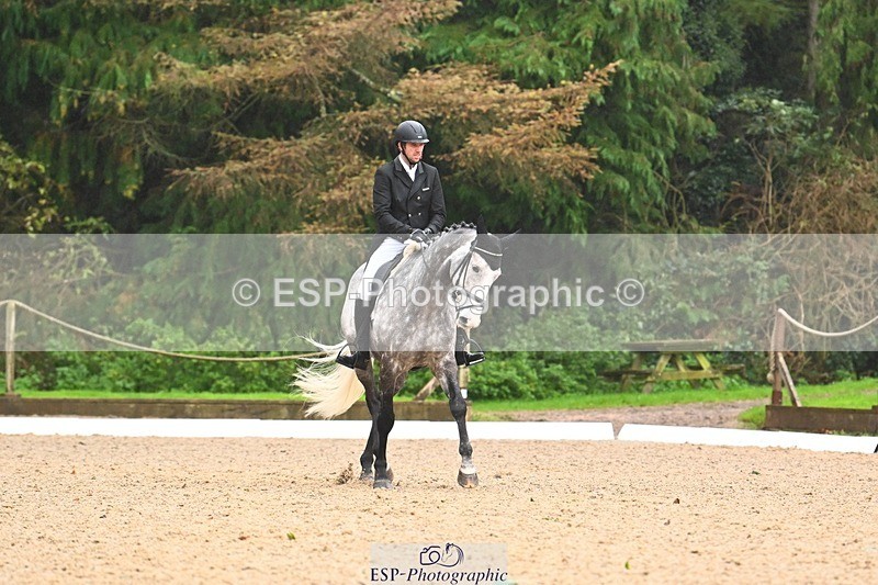 231021-102829-14670 - 336-SAUNDERSCOURT.AMBASSADOR-Adam.Trew-DR