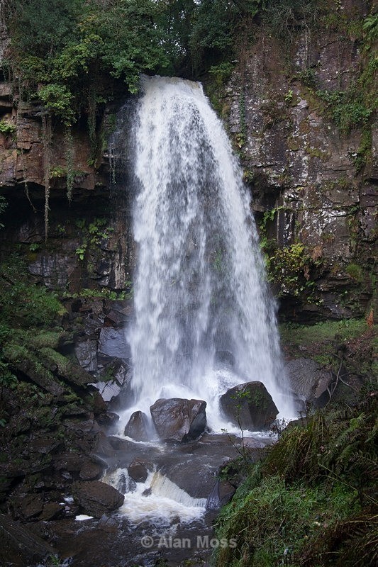 Mellincwrt Falls Spring 1 - Landscapes