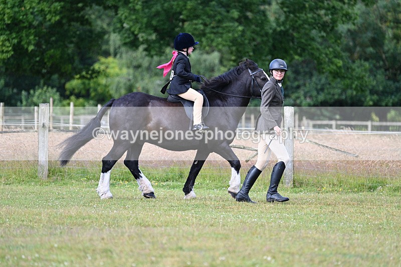 WJ7_4384 - Class 1 Lead Rein Pony