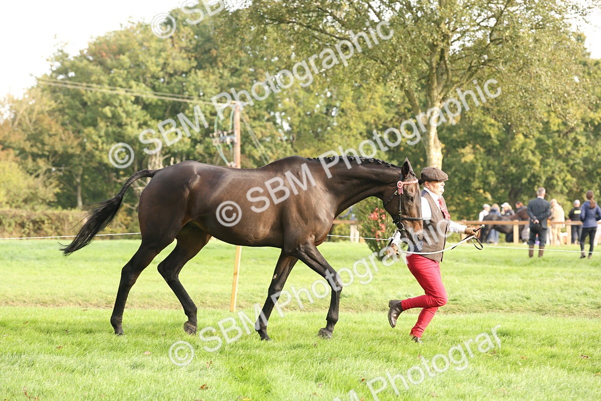 SBM_54666 - S53 - Hunter In Hand