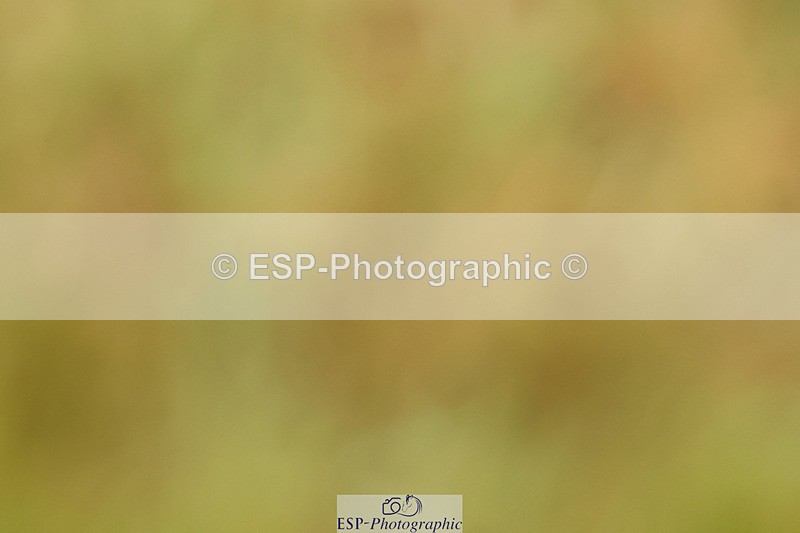 240824X-090306-21920 - D70 Section C and D 8.30 to 9.30