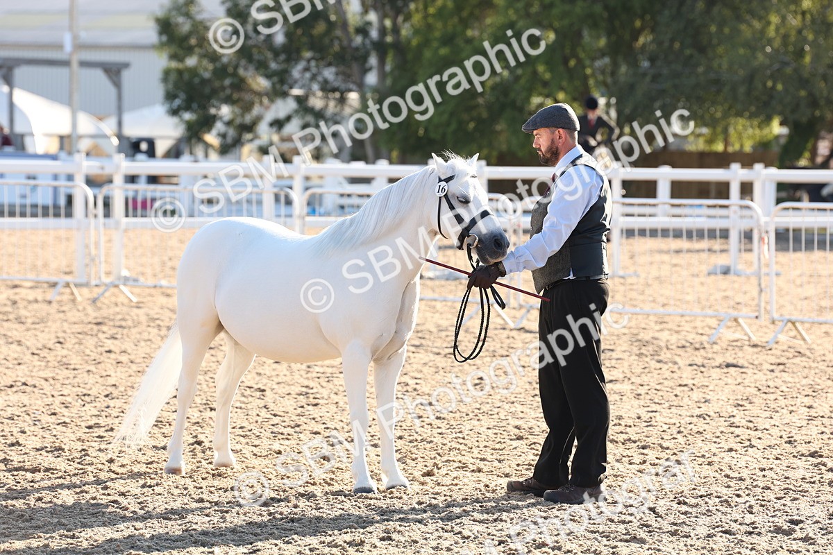 SBM_10778 - Class 201 - Best Turned Out - IH