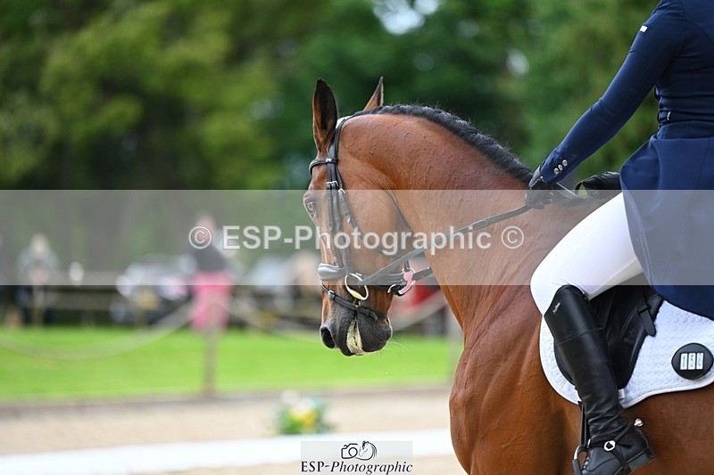 240524-132654-09561 - 158-MY_EASTWOOD_BRIGHTSIDE-Darcy_Zander