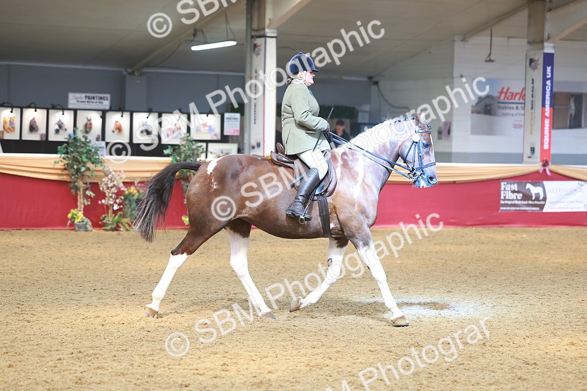 SBM_12522 - Class 103 - HOYS Veteran Qualifier - Ridden Pre Vet