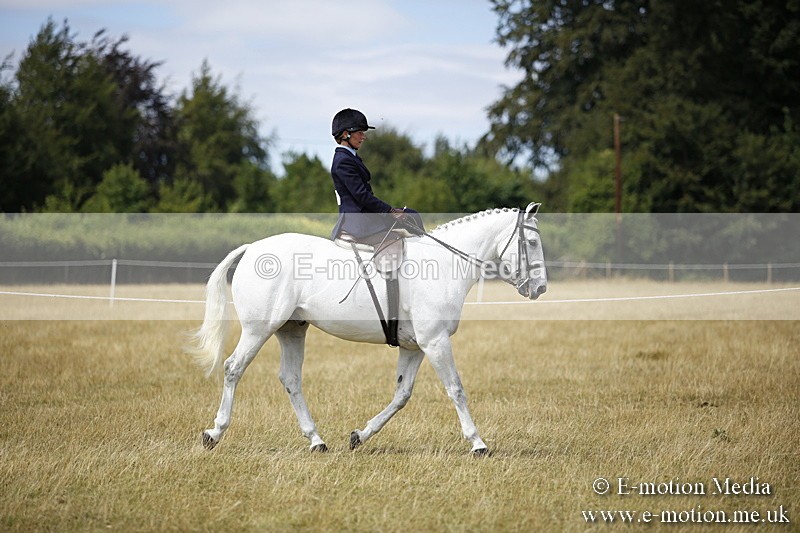 _C7A0268 - Side Saddle Classes BVRC Show 2018