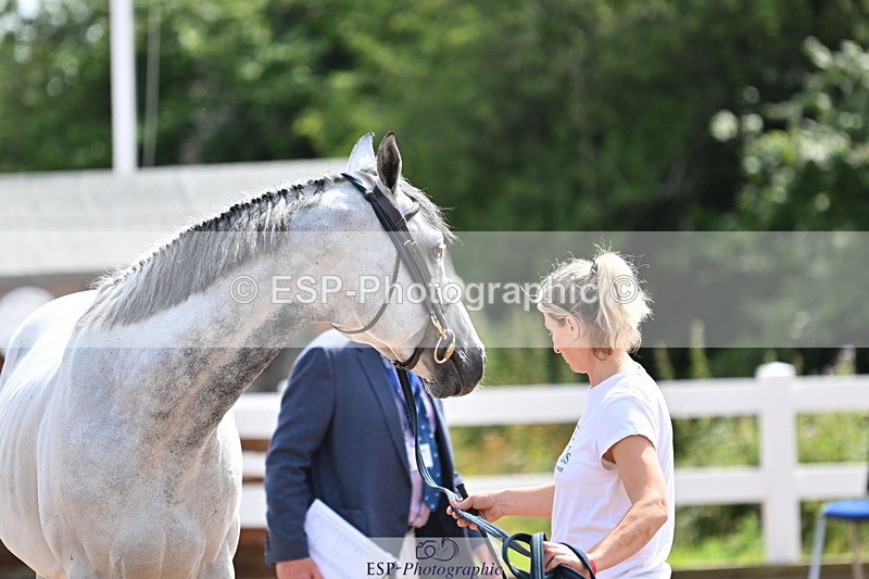 240717A-153052-02860 - Trot Up 3pm to 4pm