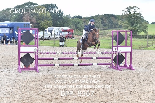 BPP_8567 - CLASS 4 Stepping Stones 128/ 138cms Handicap