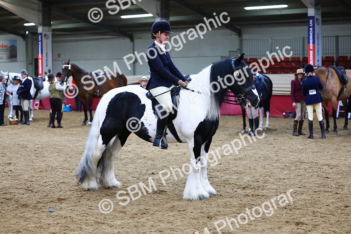 SBM_23457 - class 906 - Supreme Final - Ridden Pre Vet