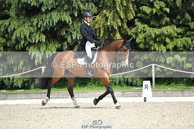 230525-151014-03202 - 325-LONESTAR-Thomas_Hawke-WEDTrotUp+DR