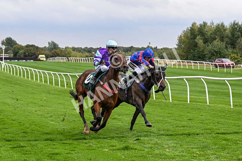 011025-Race 5-Blue Jay Way-0488 - Race 5