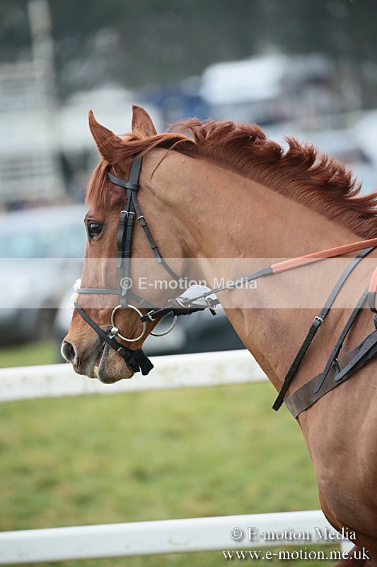 PtP 170219 -544 - Combined Services Point-To-Point Larkhill 17/02/19