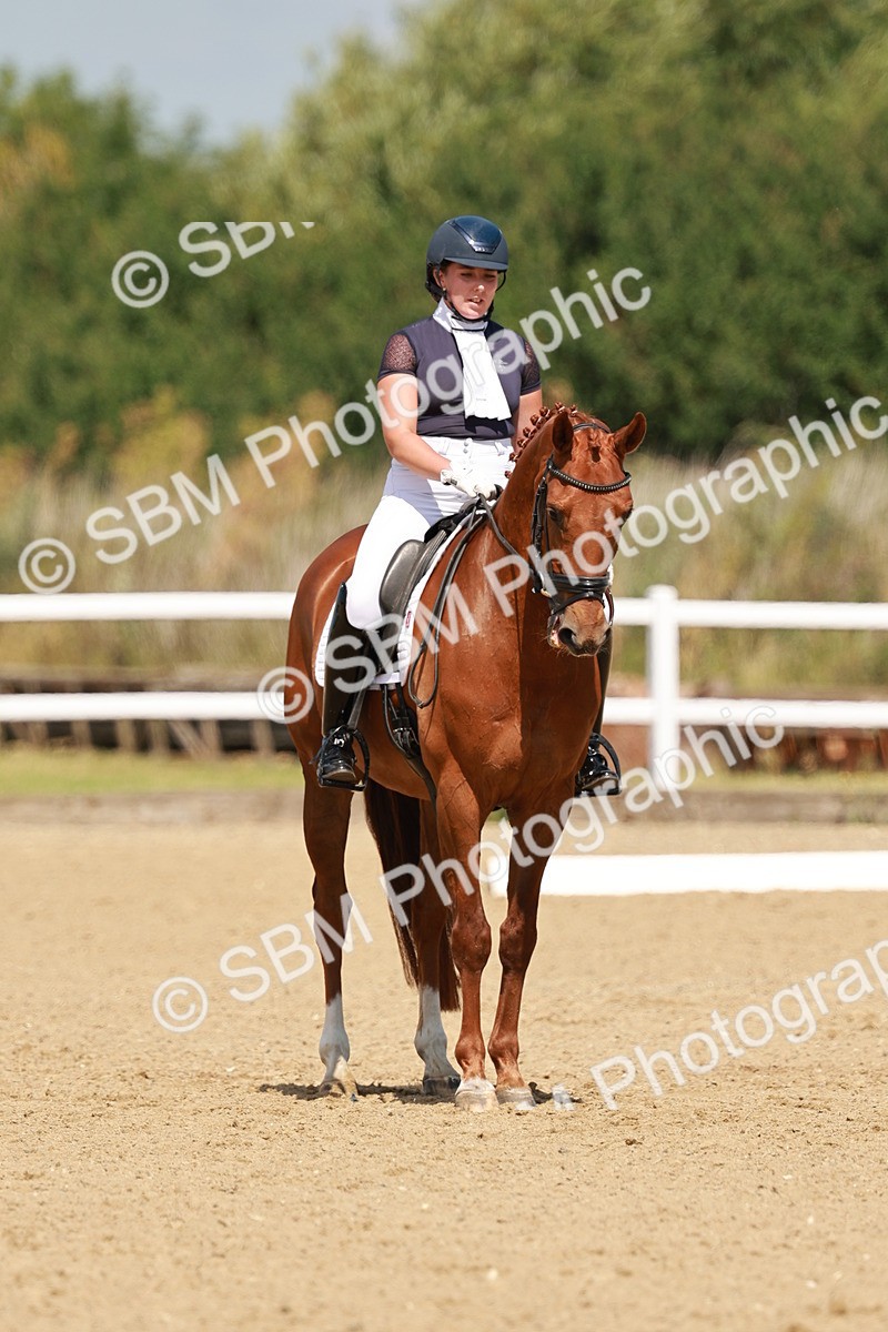 SBM_022316 - Class 22 - FEI PSG